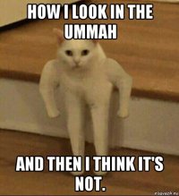 how i look in the ummah and then i think it's not.