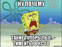 ну почему такие тупорылые тимейты в кс го