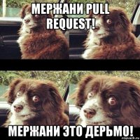 мержани pull request! мержани это дерьмо!