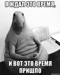 я ждал это время, и вот это время пришло