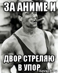 за аниме и двор стреляю в упор