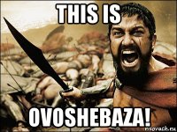 this is ovoshebaza!