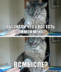 Вы знали что у вас есть Common Menu? Всмысле?