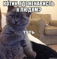 котик, где ненависть к людям? 