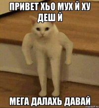 привет хьо мух й ху деш й мега далахь давай