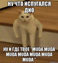 ну что испугался дио ну и где твое "muda muda muda muda muda muda muda "