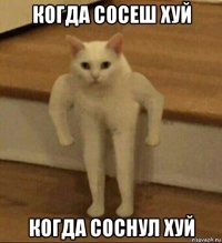 когда сосеш хуй когда соснул хуй