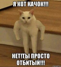 я кот качок!!! нет!ты просто отбитый!!!