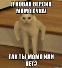 я новая версия момо,сука! так ты момо или нет?