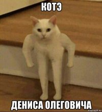 котэ дениса олеговича