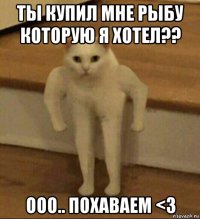 ты купил мне рыбу которую я хотел?? ооо.. похаваем <3