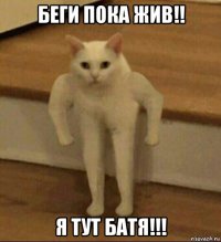 беги пока жив!! я тут батя!!!