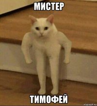 мистер тимофей