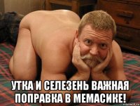  утка и селезень важная поправка в мемасике!