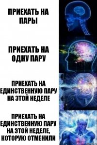 Приехать на пары Приехать на одну пару Приехать на единственную пару на этой неделе Приехать на единственную пару на этой неделе, которую отменили