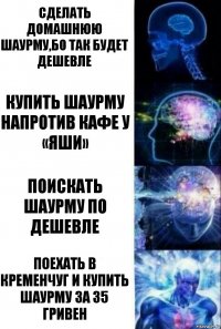 Сделать домашнюю шаурму,бо так будет дешевле Купить шаурму напротив кафе у «Яши» Поискать шаурму по дешевле Поехать в Кременчуг и купить шаурму за 35 гривен