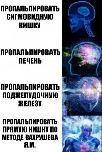 пропальпировать сигмовидную кишку пропальпировать печень пропальпировать поджелудочную железу пропальпировать прямую кишку по методе Вахрушева Я.М.