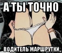 а ты точно водитель маршрутки