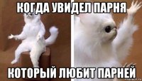 когда увидел парня который любит парней