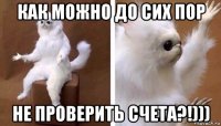 как можно до сих пор не проверить счета?!)))