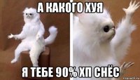 а какого хуя я тебе 90% хп снёс