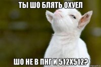 ты шо блять охуел шо не в пнг и 512x512?