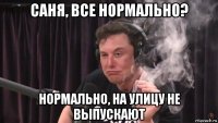 саня, все нормально? нормально, на улицу не выпускают