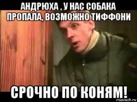 андрюха , у нас собака пропала, возможно тиффони срочно по коням!