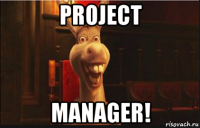 project manager!