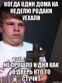 когда один дома на неделю родаки уехали не прошло и дня как в дверь кто то стучит