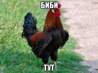 биби тут