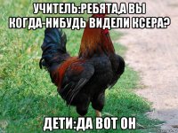 учитель:ребята,а вы когда-нибудь видели ксера? дети:да вот он