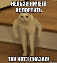 нельзя ничего испортить так котэ сказал!