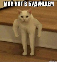 мой кот в будуйщем 