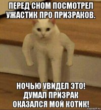 перед сном посмотрел ужастик про призраков. ночью увидел это! думал призрак оказался мой котик!