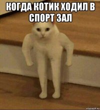 когда котик ходил в спорт зал 