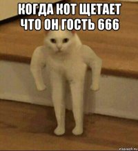 когда кот щетает что он гость 666 