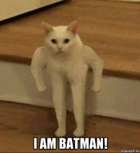  i am batman!