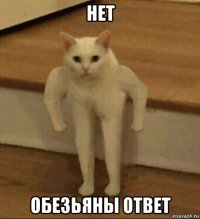 нет обезьяны ответ