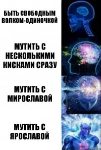 Быть свободным волком-одиночкой Мутить с несколькими кисками сразу Мутить с Мирославой Мутить с Ярославой