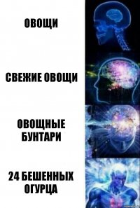 Овощи Свежие овощи Овощные бунтари 24 бешенных огурца