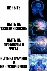 не ныть ныть на тяжелую жизнь ныть на проблемы в учебе ныть на графики в микроэкономике