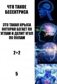 Что такое бесектриса Это такая крыса которая бегает по углам и делит угол по полам 2+2 5