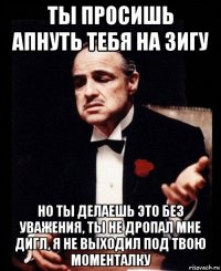 ты просишь апнуть тебя на зигу но ты делаешь это без уважения, ты не дропал мне дигл, я не выходил под твою моменталку