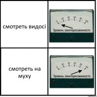 смотреть видосі смотреть на муху