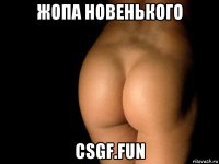 жопа новенького csgf.fun