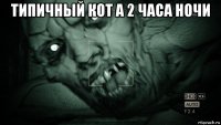 типичный кот а 2 часа ночи 