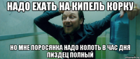 надо ехать на кипель корку но мне поросянка надо колоть в час дня пиздец полный