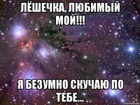 лёшечка, любимый мой!!! я безумно скучаю по тебе...