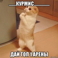 .......курмис............... дай топ 1 арены